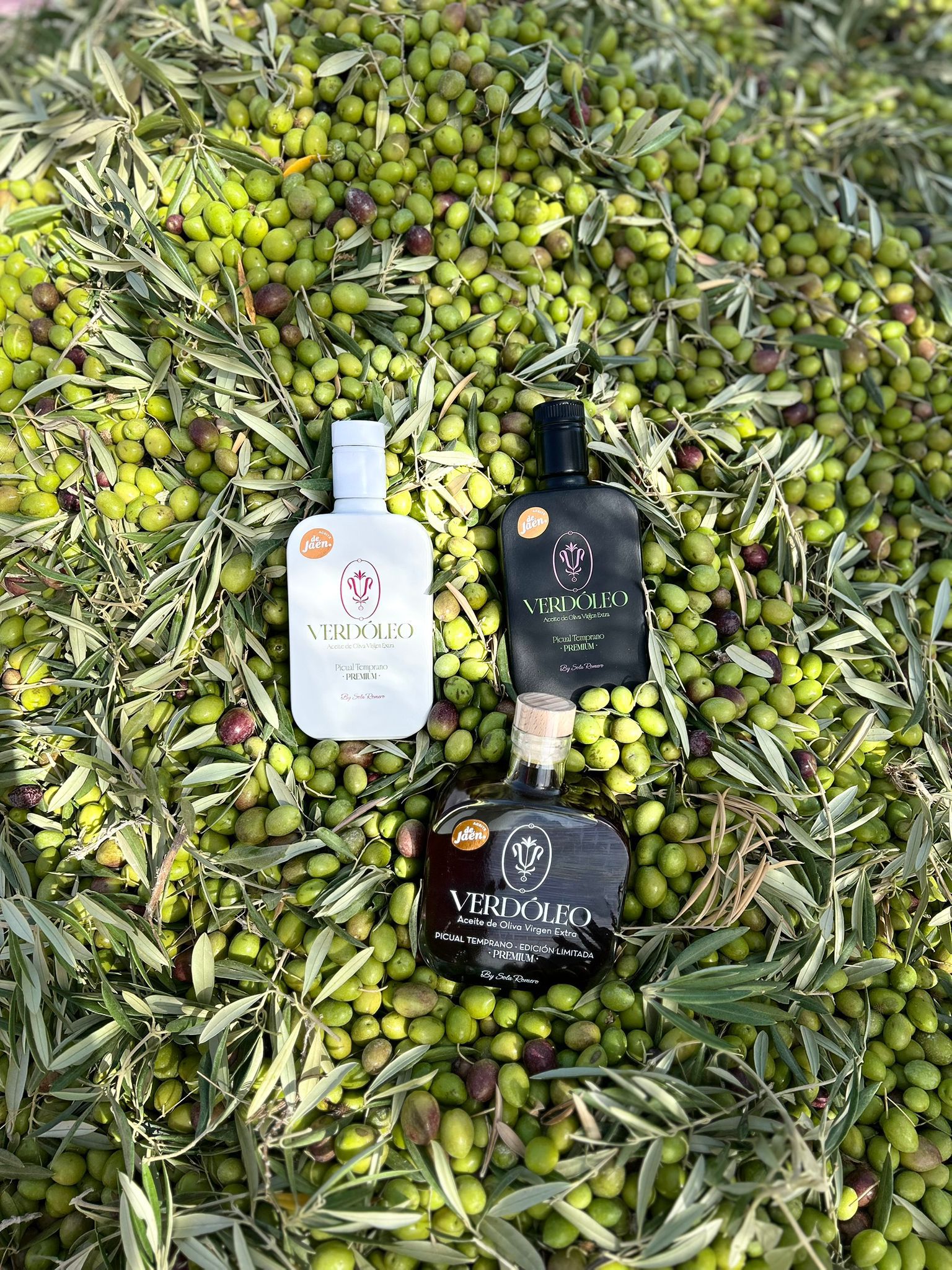 Aceite temprano verdoleo